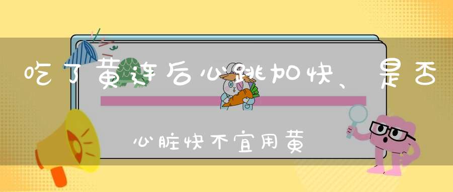 吃了黄连后心跳加快、是否心脏快不宜用黄连