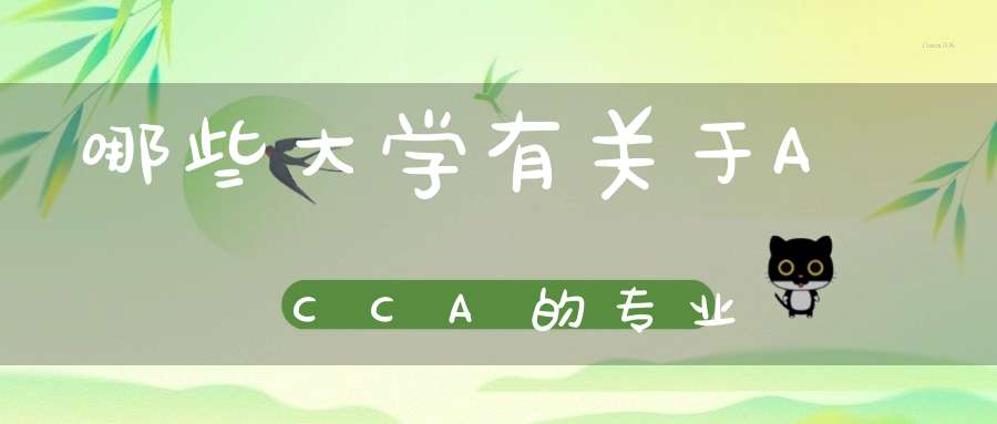 哪些大学有关于ACCA的专业