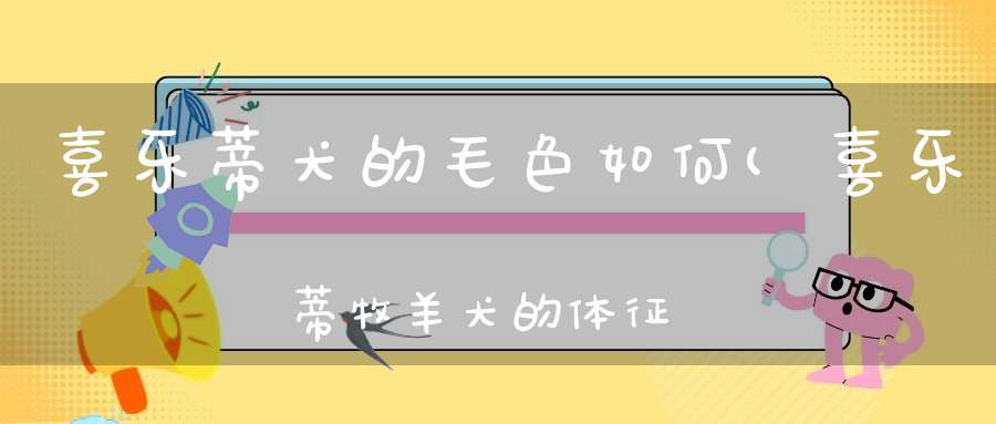 喜乐蒂犬的毛色如何(喜乐蒂牧羊犬的体征和特点是什么)