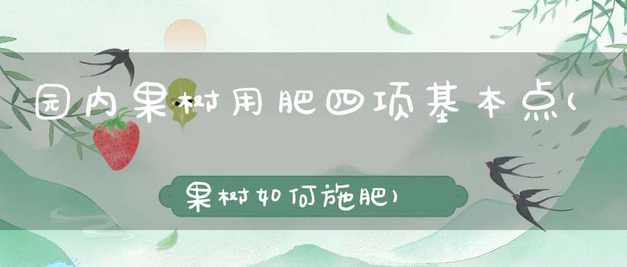 园内果树用肥四项基本点(果树如何施肥)