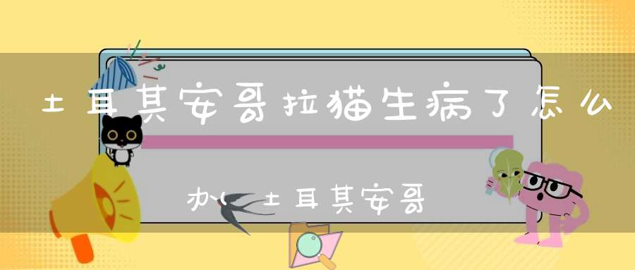 土耳其安哥拉猫生病了怎么办(土耳其安哥拉猫的特征以及图片)