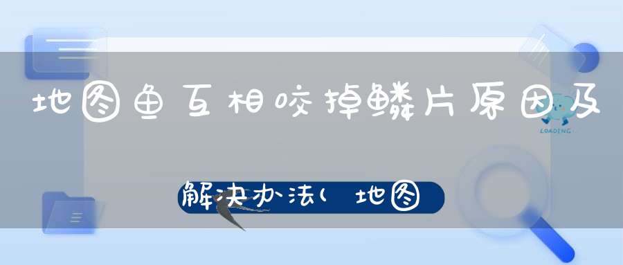 地图鱼互相咬掉鳞片原因及解决办法(地图鱼掉鳞片是怎么回事怎么治疗)