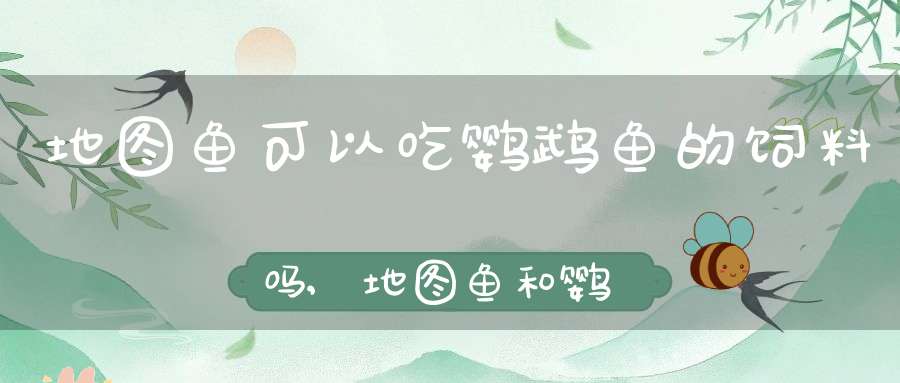 地图鱼可以吃鹦鹉鱼的饲料吗,地图鱼和鹦鹉鱼打架吗