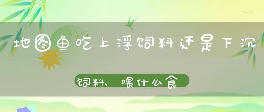 地图鱼吃上浮饲料还是下沉饲料,喂什么食物好(地图鱼吃什么鱼饲料)