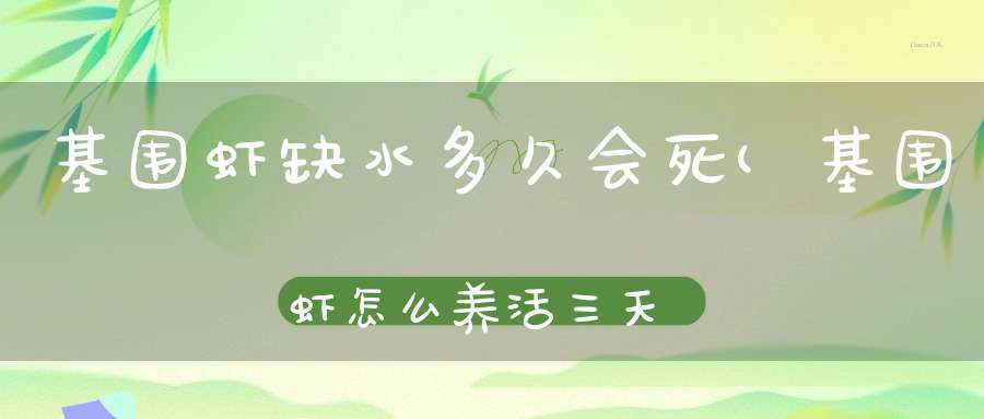 基围虾缺水多久会死(基围虾怎么养活三天基围虾属于海虾还是河虾)