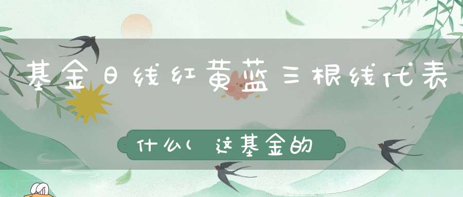 基金日线红黄蓝三根线代表什么(这基金的几条线分别代表什么意思)