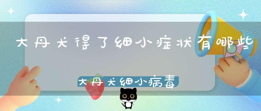 大丹犬得了细小症状有哪些大丹犬细小病毒治疗方法