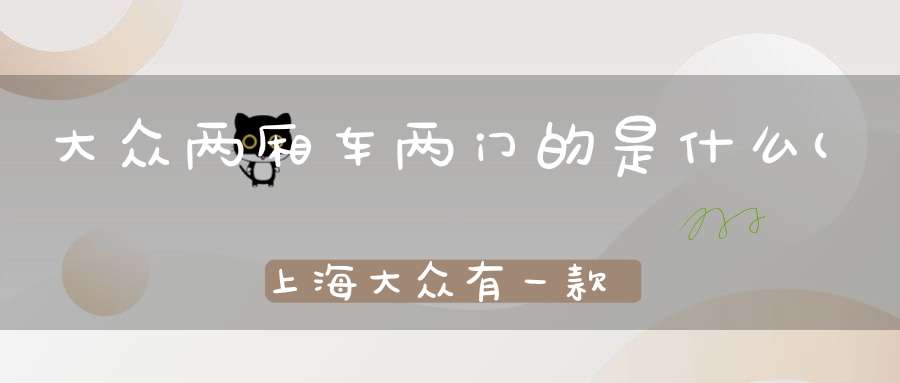 大众两厢车两门的是什么(上海大众有一款车是2座的有谁知道叫什么呀)