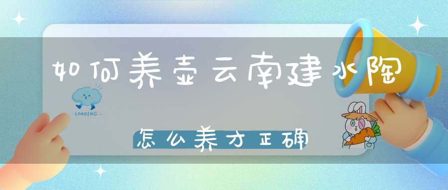 如何养壶云南建水陶怎么养才正确