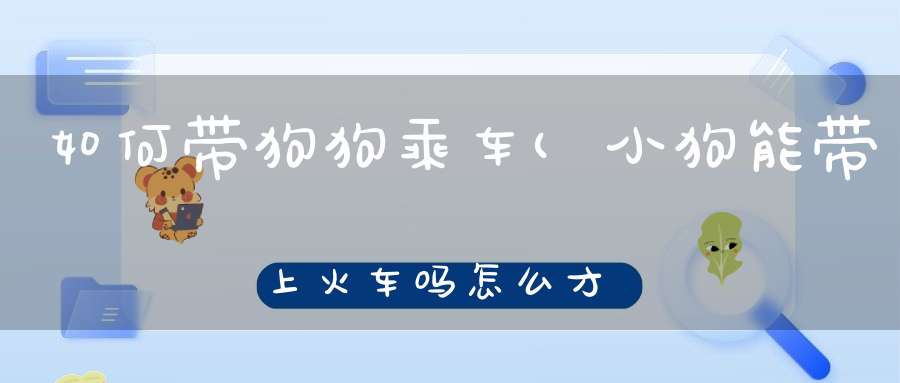 如何带狗狗乘车(小狗能带上火车吗怎么才能带上火车)