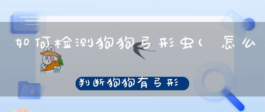 如何检测狗狗弓形虫(怎么判断狗狗有弓形虫)