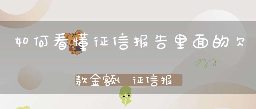 如何看懂征信报告里面的欠款金额(征信报告可以看见欠款总额吗)