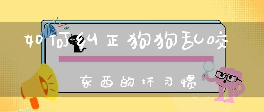 如何纠正狗狗乱咬东西的坏习惯