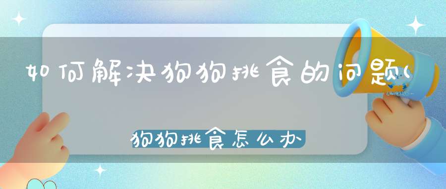 如何解决狗狗挑食的问题(狗狗挑食怎么办)