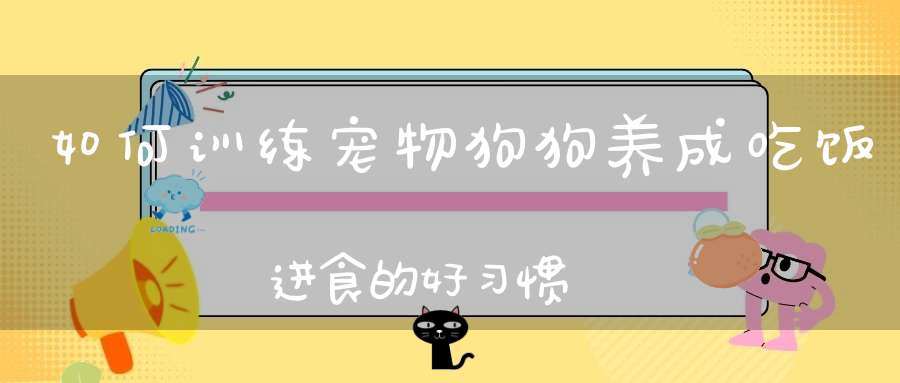 如何训练宠物狗狗养成吃饭进食的好习惯