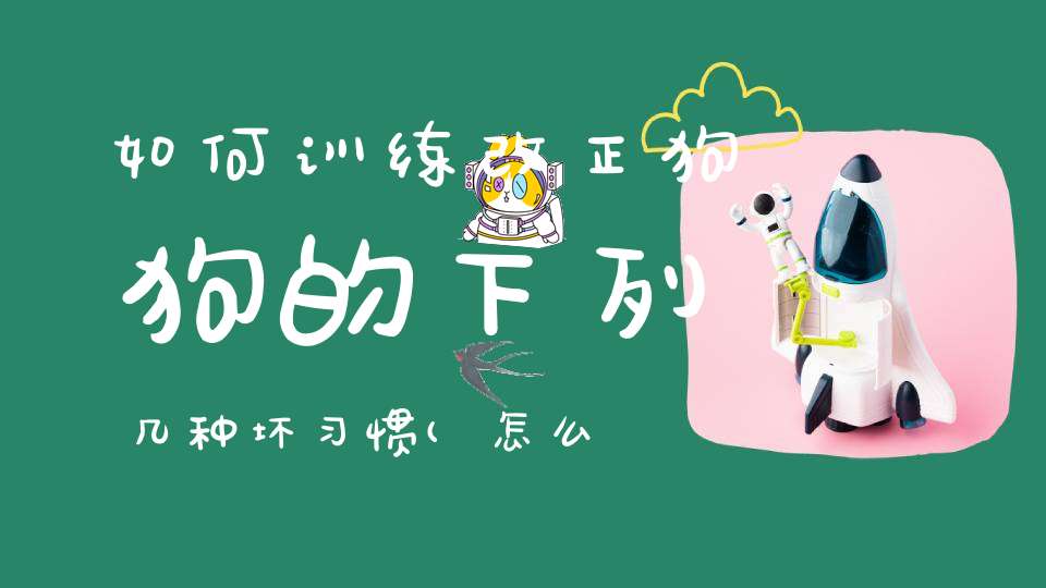 如何训练改正狗狗的下列几种坏习惯(怎么改掉狗狗的坏习惯)