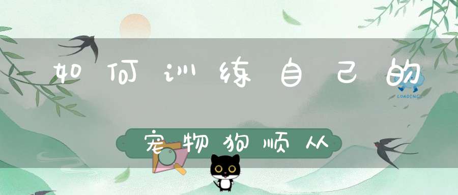 如何训练自己的宠物狗顺从