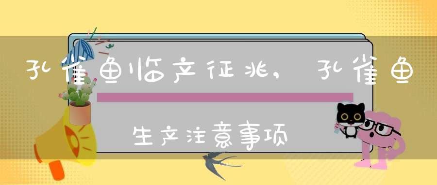 孔雀鱼临产征兆,孔雀鱼生产注意事项