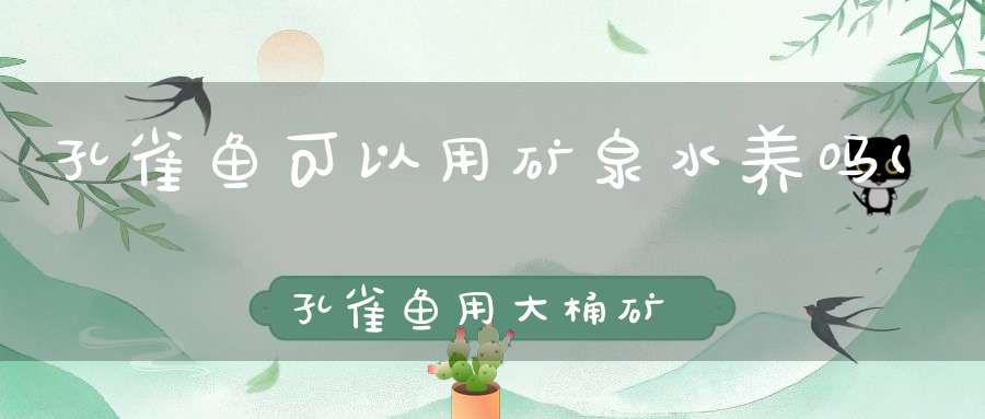 孔雀鱼可以用矿泉水养吗(孔雀鱼用大桶矿泉水桶养加水草能活多久)