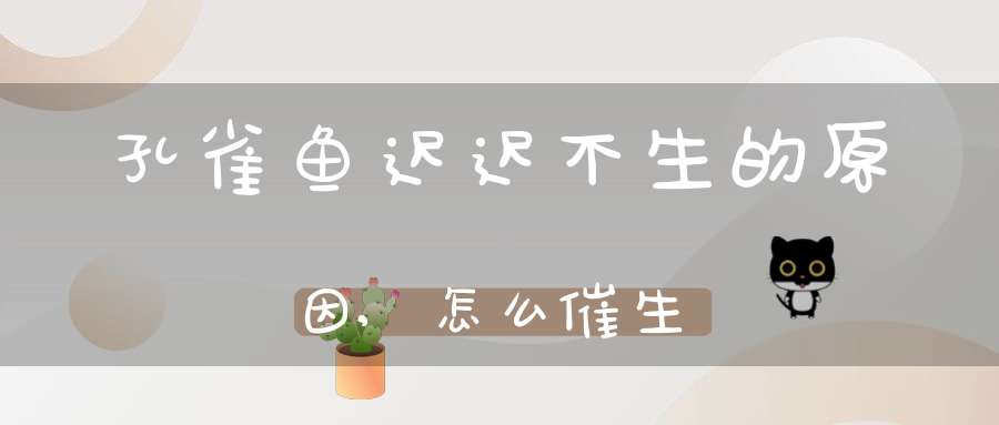 孔雀鱼迟迟不生的原因,怎么催生