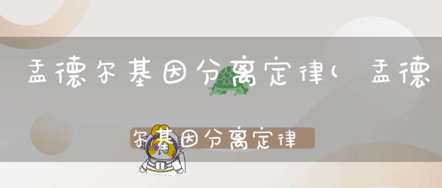 孟德尔基因分离定律(孟德尔基因分离定律只是内容)