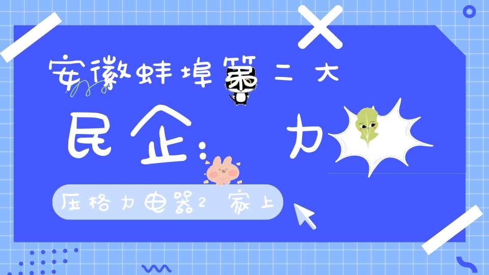 安徽蚌埠第二大民企：力压格力电器2家上市公司年入173.39亿