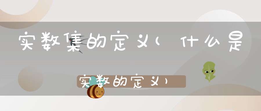 实数集的定义(什么是实数的定义)