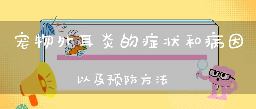 宠物外耳炎的症状和病因以及预防方法