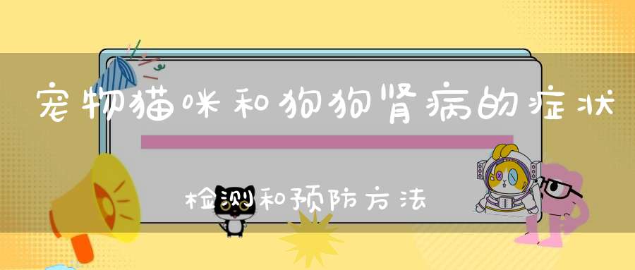 宠物猫咪和狗狗肾病的症状检测和预防方法