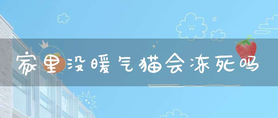 家里没暖气猫会冻死吗