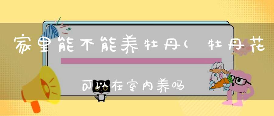 家里能不能养牡丹(牡丹花可以在室内养吗牡丹花是否可以在室内养)