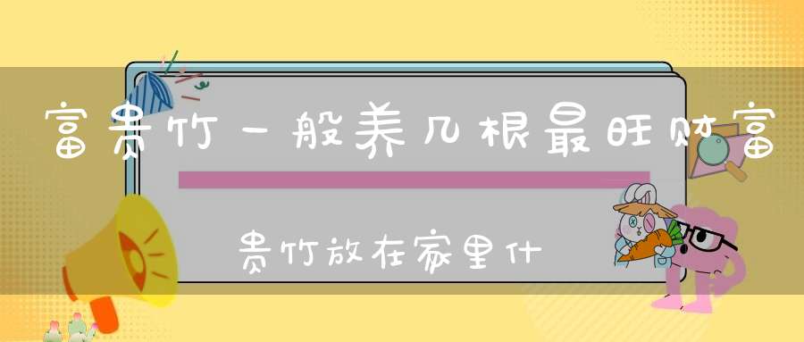 富贵竹一般养几根最旺财富贵竹放在家里什么位置好