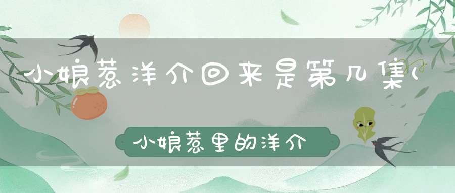 小娘惹洋介回来是第几集(小娘惹里的洋介回来了吗小娘惹介绍)