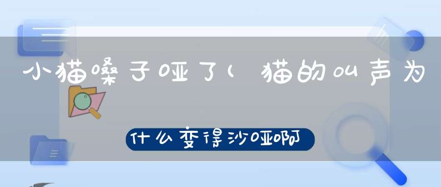 小猫嗓子哑了(猫的叫声为什么变得沙哑啊)