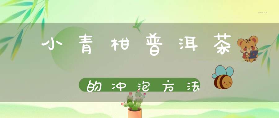 小青柑普洱茶的冲泡方法