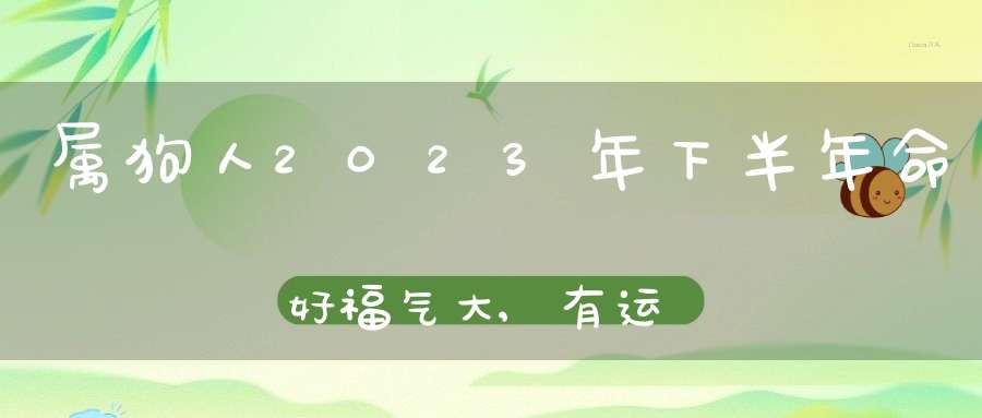 属狗人2023年下半年命好福气大,有运气做有钱人!