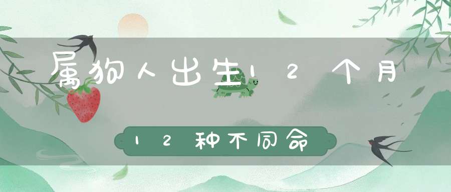 属狗人出生12个月12种不同命