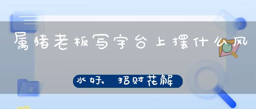 属猪老板写字台上摆什么风水好,招财花解析(属猪的养什么花旺财养什么花好)