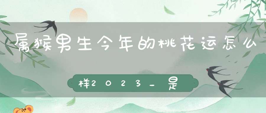 属猴男生今年的桃花运怎么样2023_是脱单的好时机