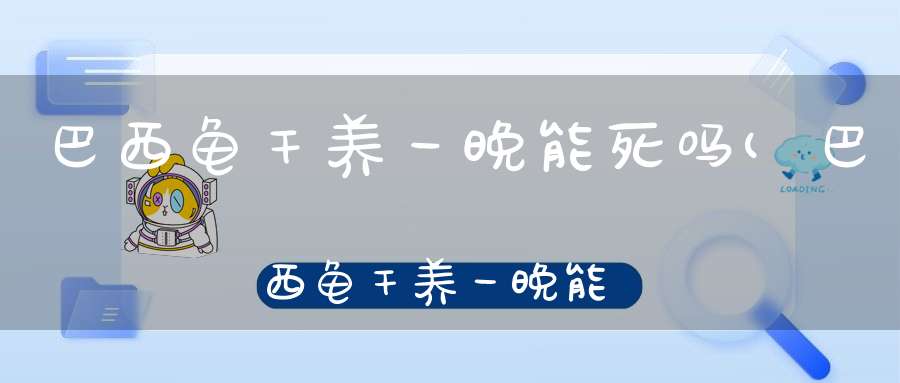 巴西龟干养一晚能死吗(巴西龟干养一晚能死吗)