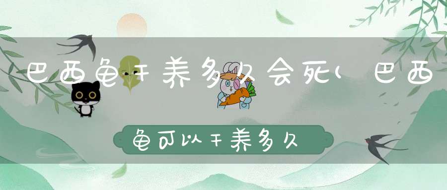 巴西龟干养多久会死(巴西龟可以干养多久)