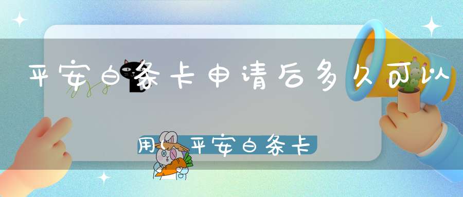 平安白条卡申请后多久可以用(平安白条卡可以店里刷卡吗使用范围如下！)