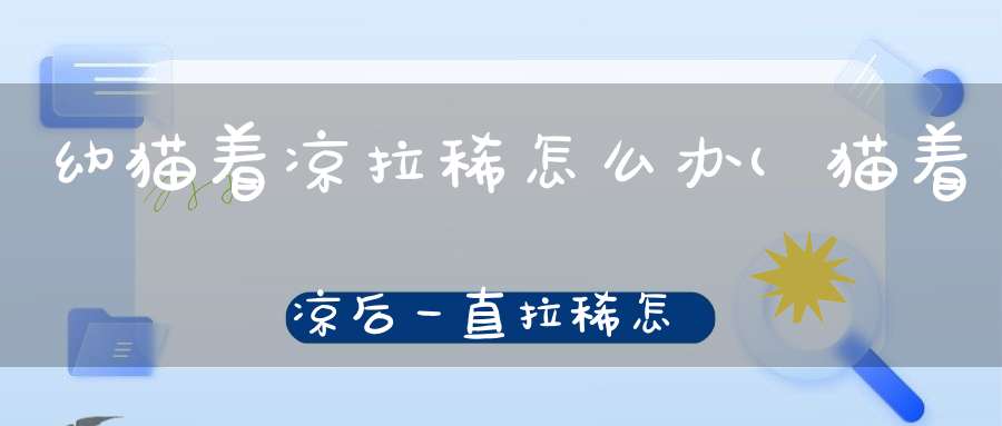 幼猫着凉拉稀怎么办(猫着凉后一直拉稀怎么办)