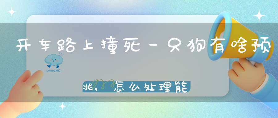 开车路上撞死一只狗有啥预兆,怎么处理能化解