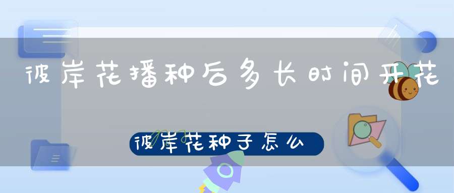 彼岸花播种后多长时间开花彼岸花种子怎么播种