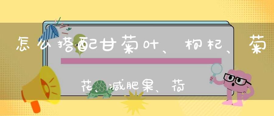 怎么搭配甘菊叶、枸杞、菊花、减肥果、荷叶、陈皮、金桔片、