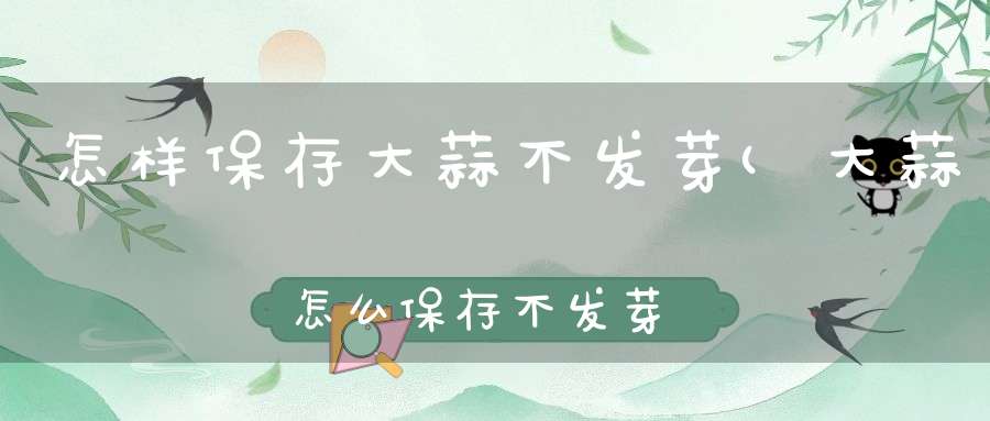 怎样保存大蒜不发芽(大蒜怎么保存不发芽)