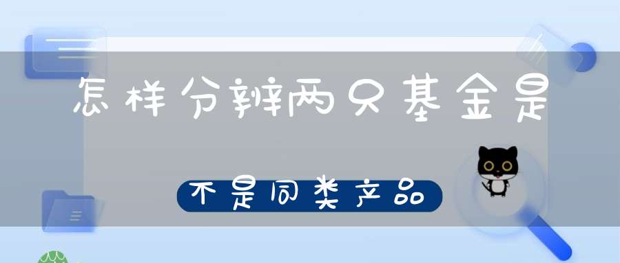 怎样分辨两只基金是不是同类产品