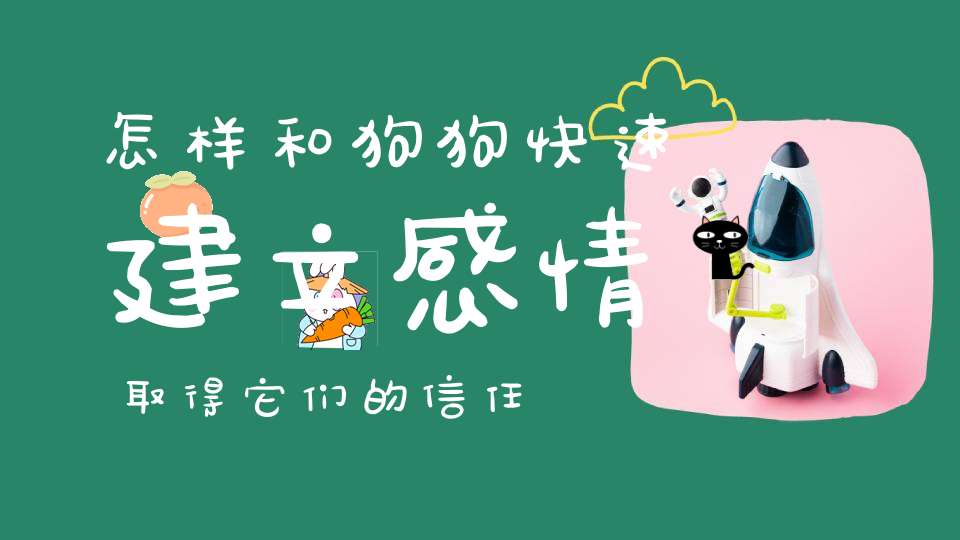 怎样和狗狗快速建立感情取得它们的信任