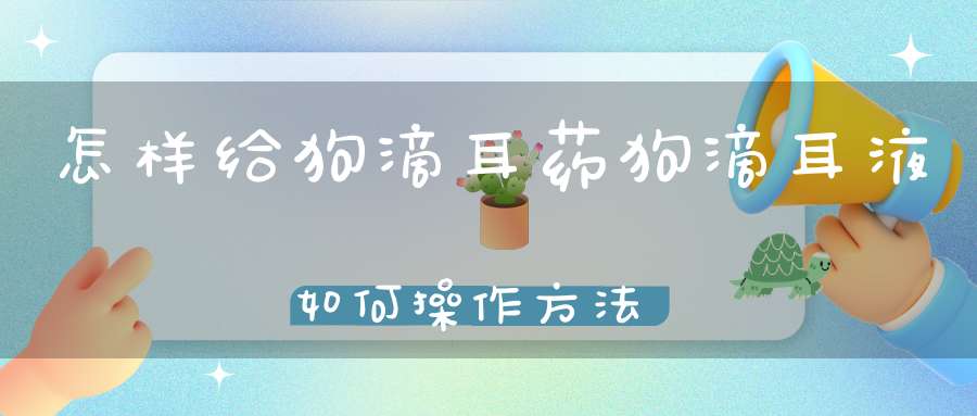 怎样给狗滴耳药狗滴耳液如何操作方法